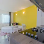 Apartment Burica